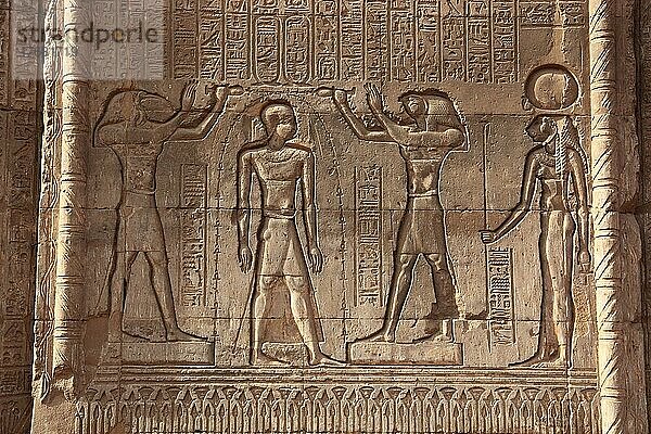 Tempel des Chnum  Reliefs an der Wand  in der Stadt Esna  Oberägypten  Ägypten  Afrika