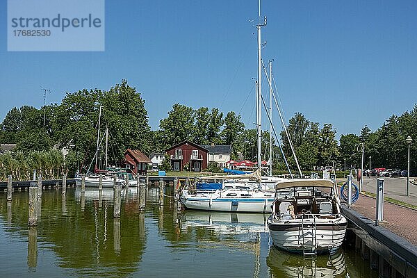 Segelboote am Bodden im Fischland Darß  Zingst  Mecklenburg-Vorpommern  Deutschland  Europa