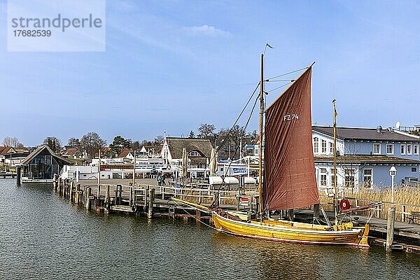 Zeesboot am Bodden im Fischland Darß  Zingst  Mecklenburg-Vorpommern  Deutschland  Europa