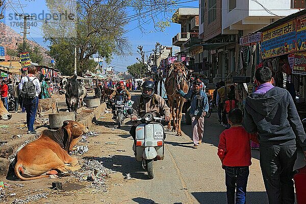 Nordindien  Rajasthan  Chiwara  Straßenszene  Händler  Verkehr  Tiere und Einheimische  Indien  Asien