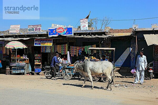 Nordindien  Rajasthan  Chiwara  Straßenszene  Händler entlang der Straße und heilige Kuh  Indien  Asien