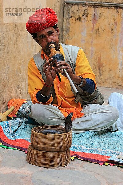 Inder mit Schlange  Schlangenbeschwörer  Rajasthan  Nordindien  Indien  Asien