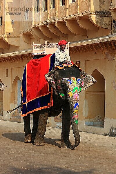 Rajasthan  Fort Amber  Elefantenreiten im Innenhof  dem Jaleb Chowk  in der Festungsanlage  Indien  Nordindien  Asien