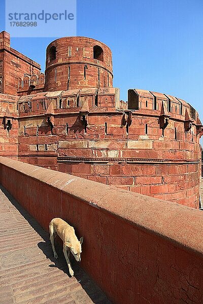 Nordindien  Bundesstaat Uttar Pradesh  Agra Fort  das Rote Fort ist eine Festungsanlage und Palastanlage aus der Epoche der Mogulkaiser  Teil der Festungsanlage  Indien  Asien