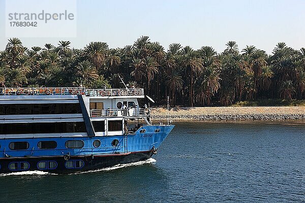 Kreuzfahrtschiffe auf dem Nil  Nilkreuzfahrt  Oberägypten  Ägypten  Afrika