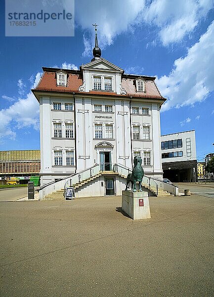 Stadtmuseum  Gera  Thüringen  Deutschland  Europa