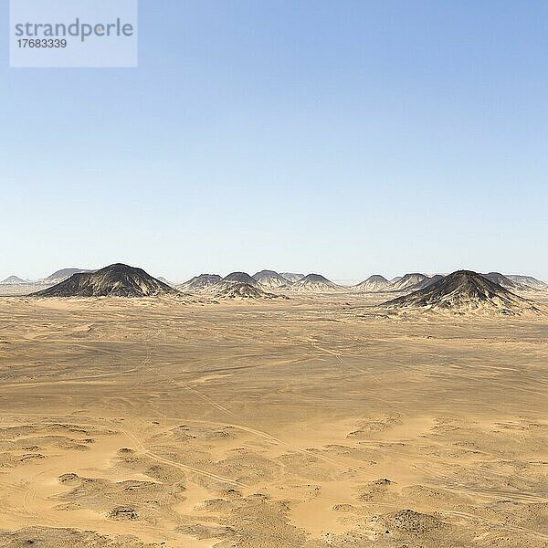 Schwarze Wüste  Westlibysche Wüste  Ägypten  Afrika