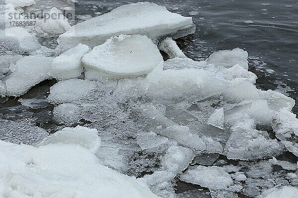 Eisstrukturen  Packeis im Frühjahr  Chateauguay River  Provinz Quebec  Kanada  Nordamerika