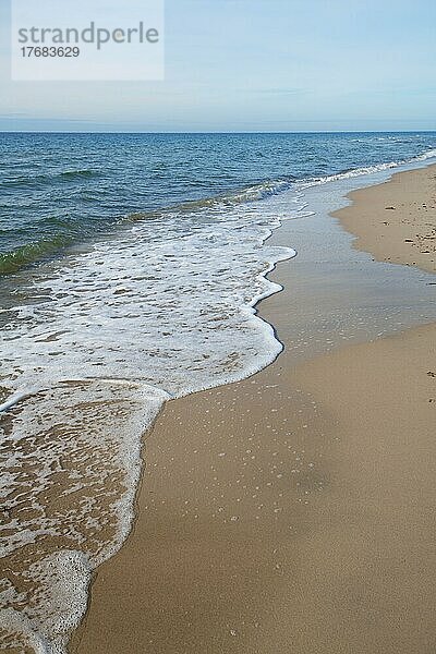 Die Ostsee trifft auf Land  Wasserspiele am Darßer Strand  Nationalpark Vorpommersche Boddenlandschaft  Mecklenburg-Vorpommern