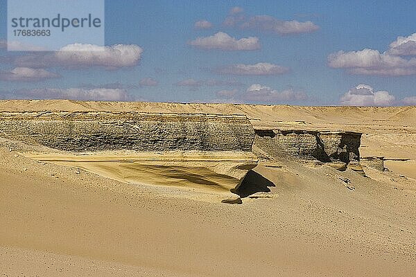 Fossilführende Schichten  Wadi Hitan  Weltkulturerbe  Fayum  Ägypten  Afrika