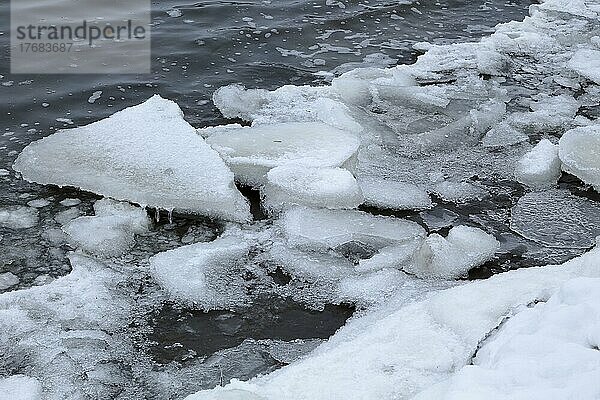 Eisstrukturen  Packeis im Frühjahr  Chateauguay River  Provinz Quebec  Kanada  Nordamerika