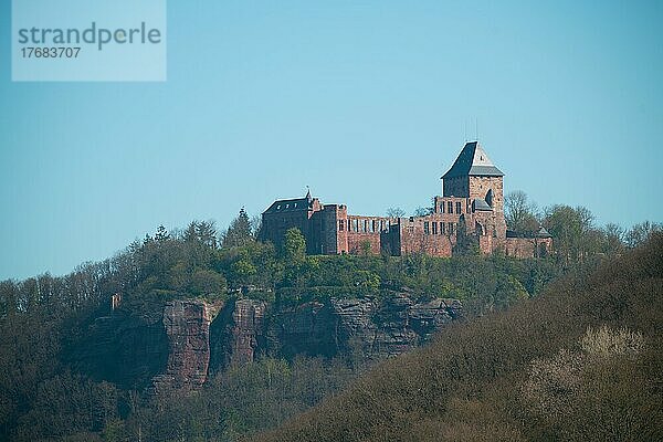 Burg Nideggen  Ruine  Naturpark Hohes Venn-Eifel  Eifel  Nordrhein-Westfalen  Deutschland  Europa