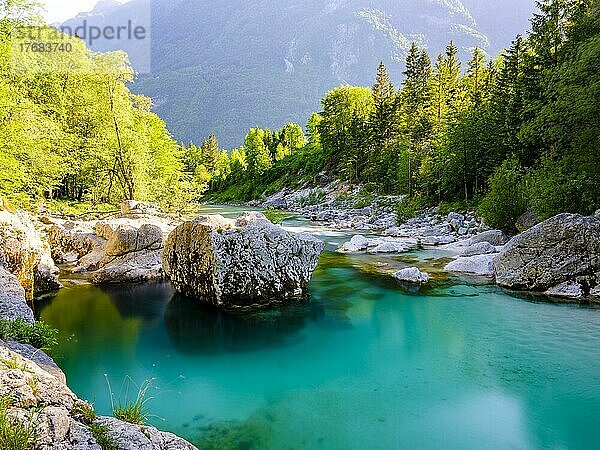 Smaragdgrüner Fluss Soca  Soca-Tal  Triglav Nationalpark  Bovec  Slowenien  Europa