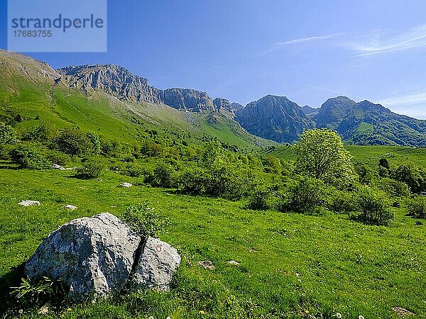 Almwiesen unterhalb des Berg Krn  Soca Tal  Triglav Nationalpark  Julische Alpen  Slowenien  Europa