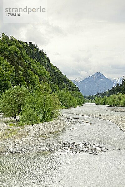 Flusslandschaft der Iller bei Fischen im Allgäu  Allgäuer Alpen  Bayern  Deutschland  Europa