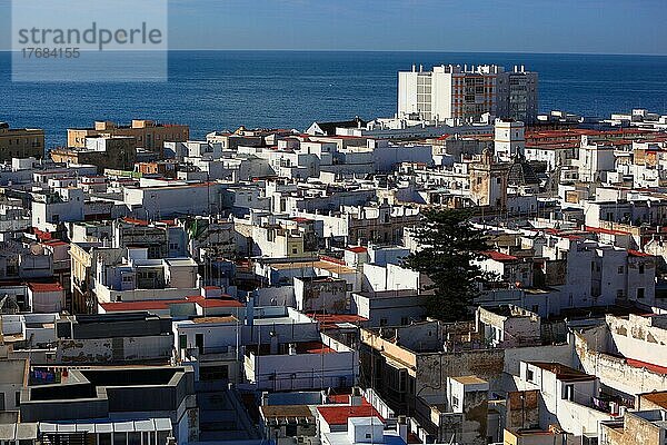 Stadt Cadiz  Blick vom Torre Tavira auf die Altstadt  Andalusien  Spanien  Europa