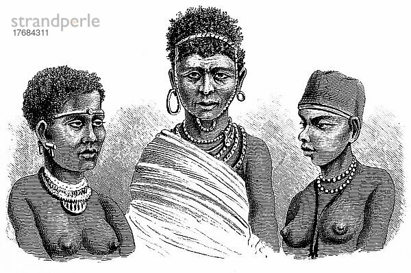 Drei Afrikanerinnen  Kaffer Frau (li)  Buschfrau  Hottentottin (re)  Eingeborene  Halsketten  Ohrringe  nackt  Kolonialismus  Porträt  historische Illustration 1881  südliches Afrika