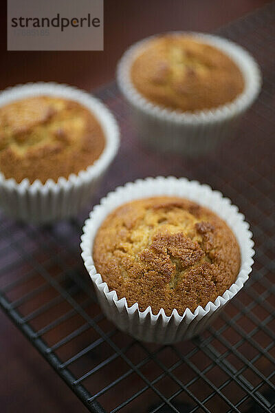 Mais-Muffins in Muffinförmchen auf dem Kühlregal