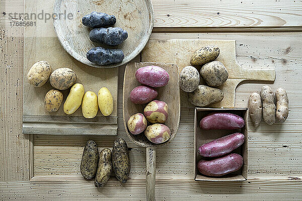 Verschiedene Sorten roher Kartoffeln auf rustikalem Holzhintergrund