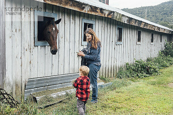 Frau mit Enkel hält Gras und schaut Pferd im Stall an