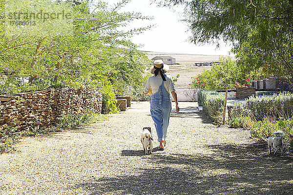 Frau geht mit Hund im Garten spazieren