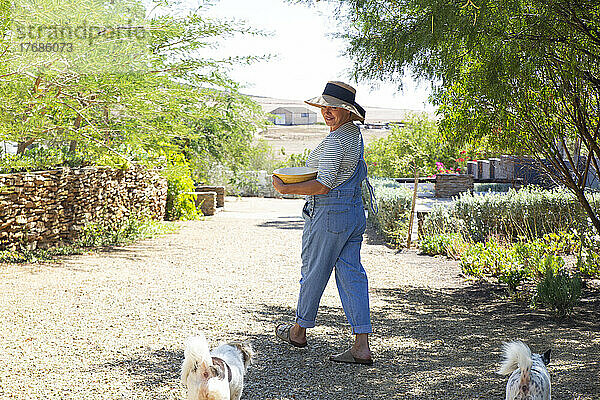 Woman looking at pet dogs walking in garden on sunny day