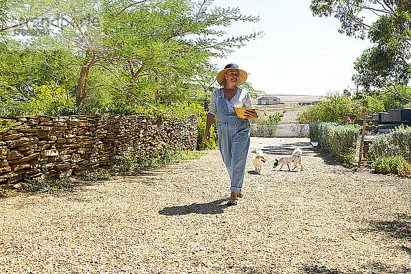Frau mit Hunden geht auf Weg im Garten spazieren