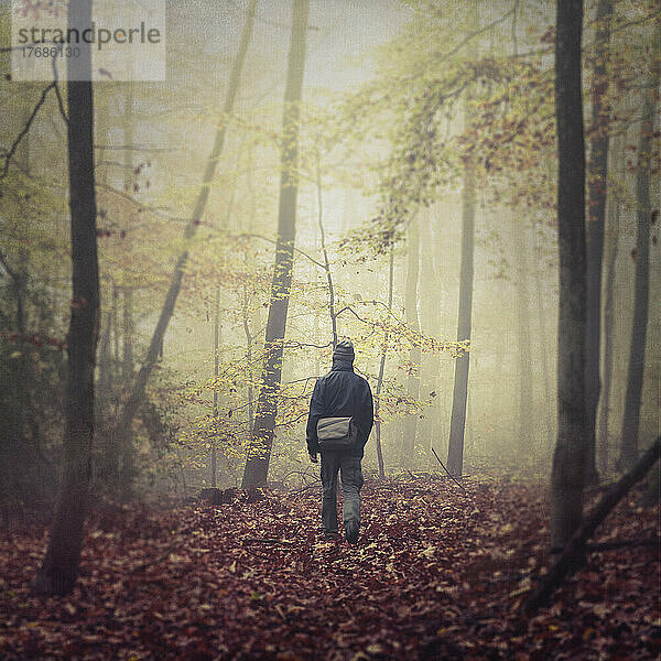 Älterer Mann wandert allein im nebelverhangenen Herbstwald