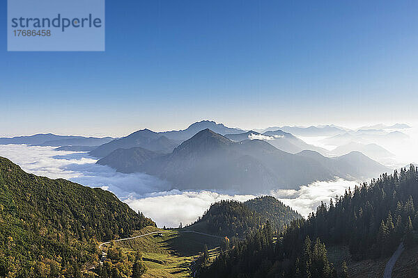 Deutschland  Bayern  klarer Himmel über dichtem Nebel  der über einem bewaldeten Tal in den Bayerischen Voralpen schwebt