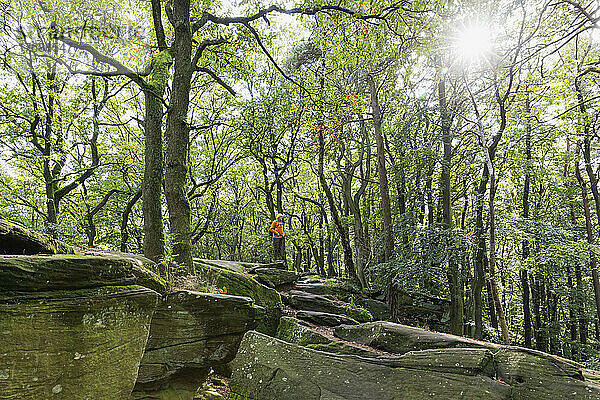 Wanderer steht auf einem Felsen neben Bäumen im Pfälzer Wald  Deutschland