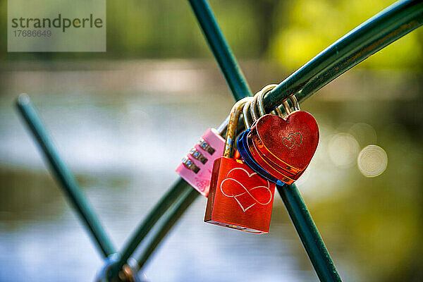 Love locks hanging on fence with lake in background