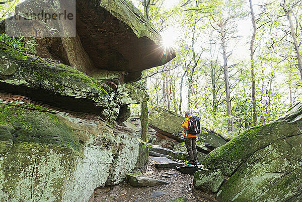 Älterer Wanderer steht inmitten von Felsen im Pfälzer Wald  Deutschland