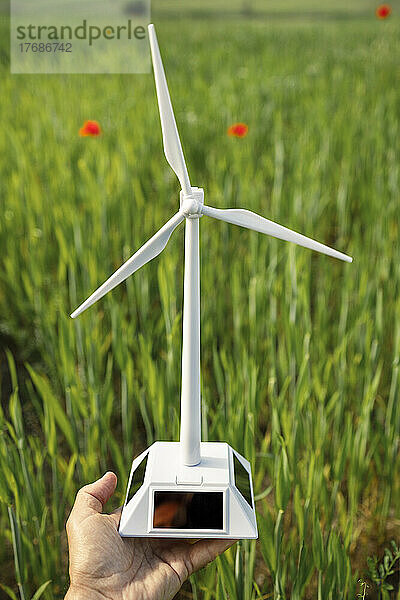 Die Hand eines reifen Mannes hält ein Windturbinenmodell im grünen Feld