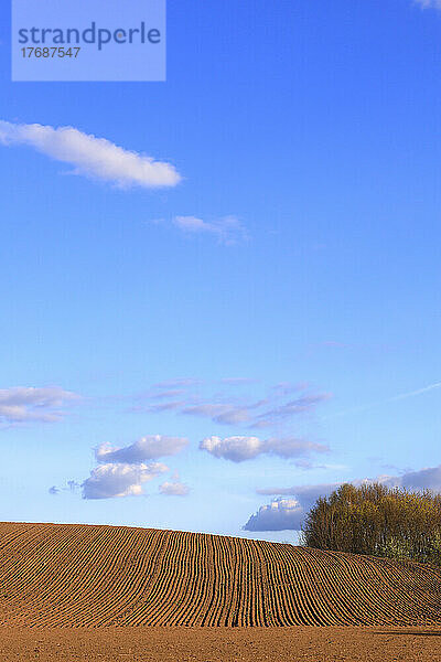 Blauer Himmel über gepflügtem Feld
