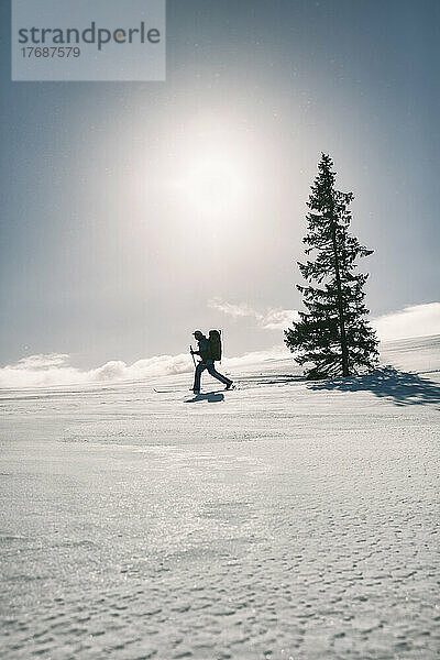 Norwegen  Gjevsjoen  Sonne scheint über der Silhouette eines einsamen Wanderers  der durch den Schnee stapft