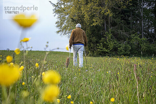 Älterer Mann geht mit Wanderstöcken auf der Wiese