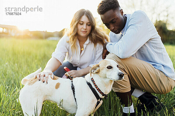 Gemischtrassiges Paar mit Hund sitzt an einem sonnigen Tag in der Natur