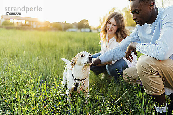 Happy young couple with dog in nature