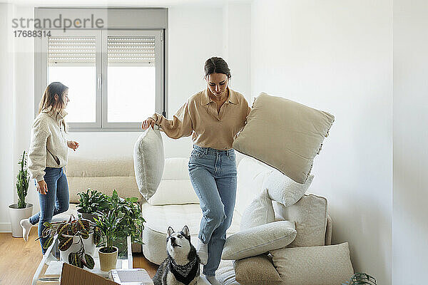 Woman carrying pillows by siberain husky with girlfriend in background at home