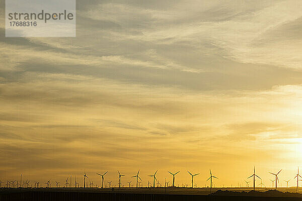 Windkraftanlagen unter gelbem Himmel bei Sonnenuntergang