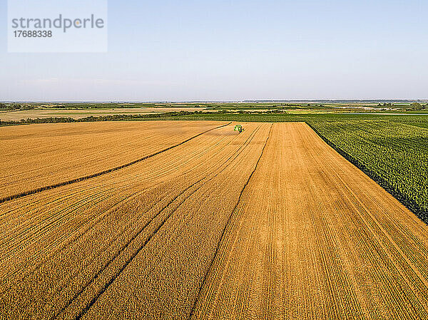 Luftaufnahme eines landwirtschaftlichen Feldes an einem sonnigen Tag
