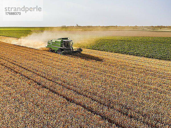 Traktor erntet Weizenfeld an einem sonnigen Tag