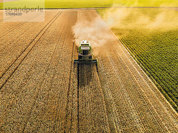 Combine harvester with dust cloud on wheat field