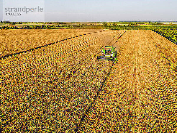 Combine harvester at farm harvesting wheat crop field