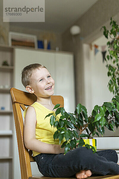 Happy boy holding houseplant sitting on chair at home