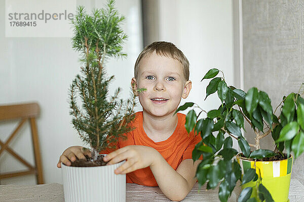 Lächelnder Junge  der zu Hause pflanzt
