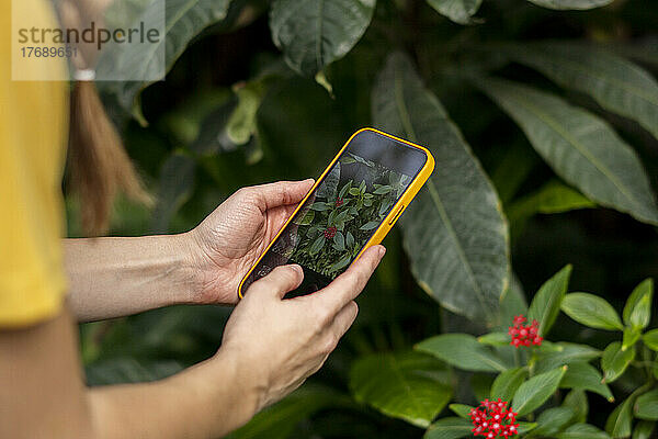 Frau fotografiert Blumen mit Handy im Garten