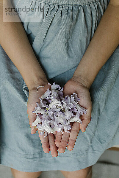 Mädchenhände mit violetten Blüten