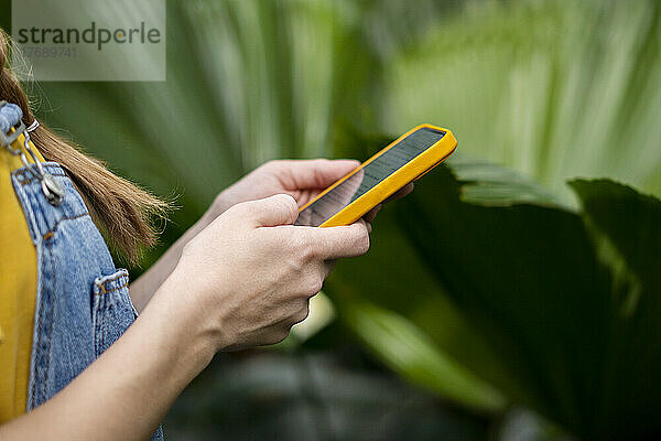 Hände einer Frau  die im Garten ihr Mobiltelefon benutzt