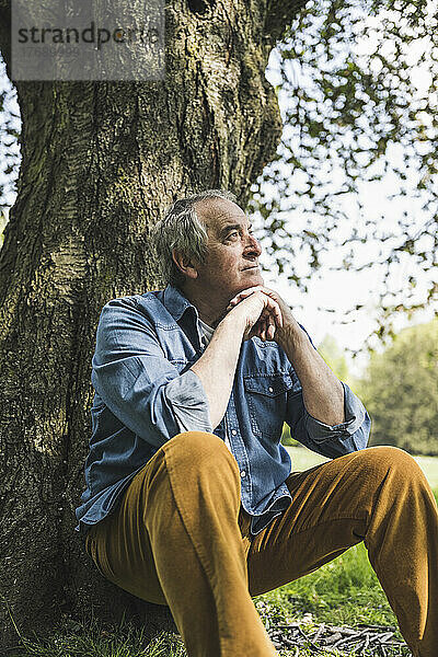 Nachdenklicher älterer Mann im Ruhestand mit der Hand am Kinn sitzt vor einem Baum im Park